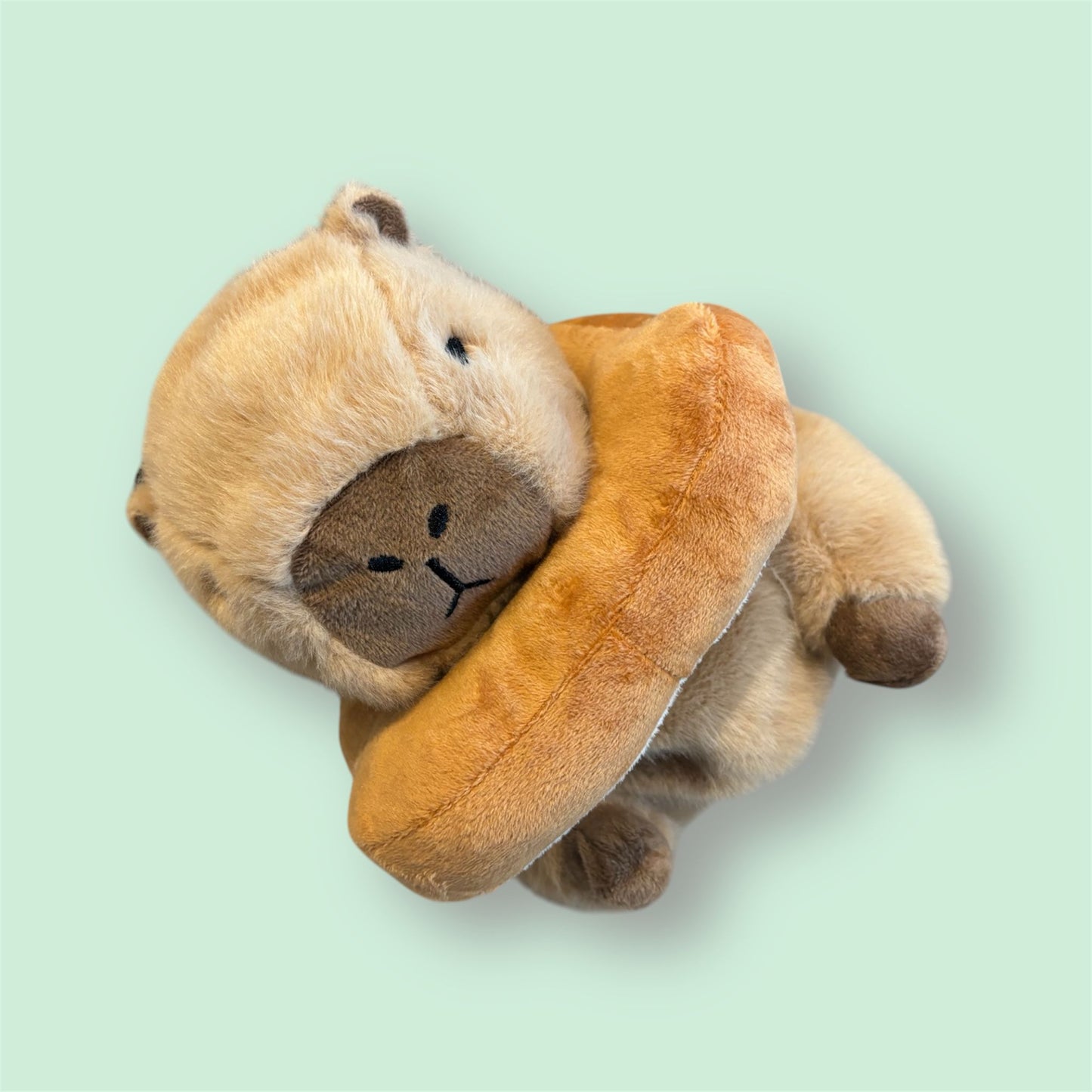 Capybara Toast Chalk Bag