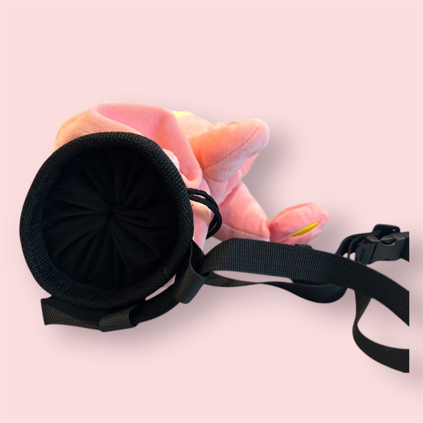 Charmander Ditto Chalk Bag