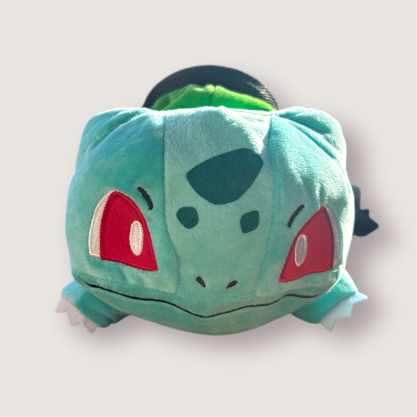 Bulbasaur Chalk Bag