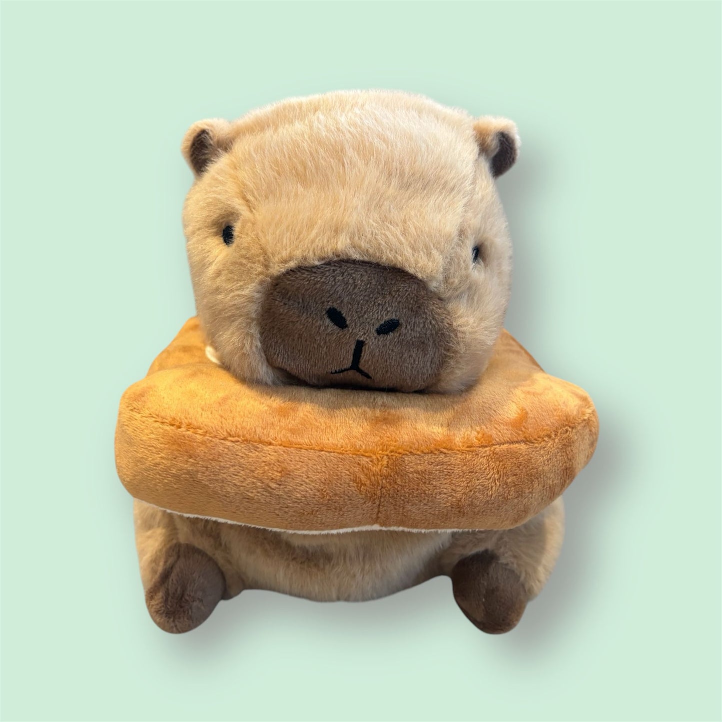 Capybara Toast Chalk Bag
