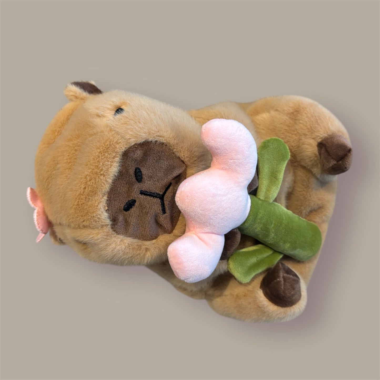 Capybara Flower Chalk Bag (Pre ORDER)