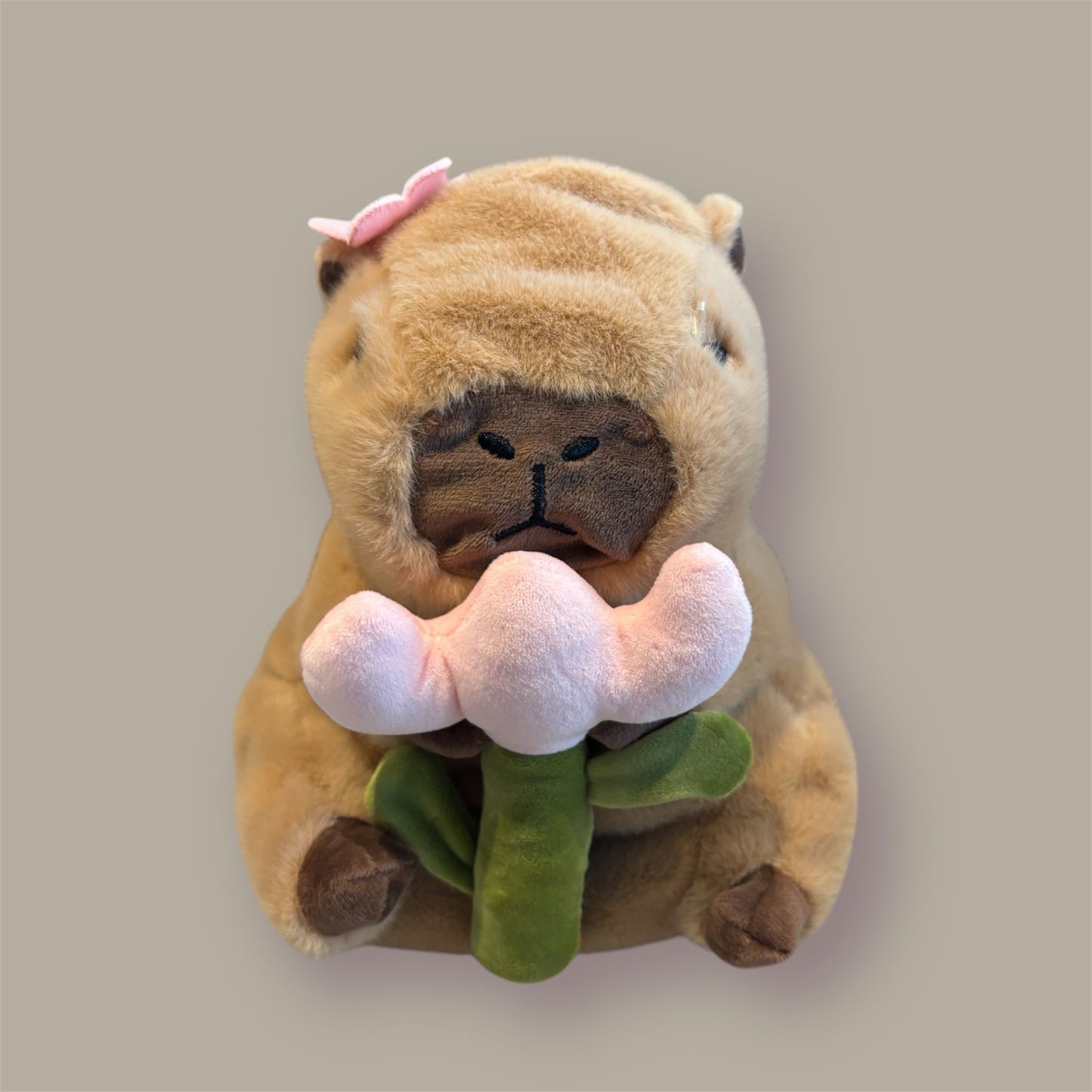 Capybara Flower Chalk Bag (Pre ORDER)