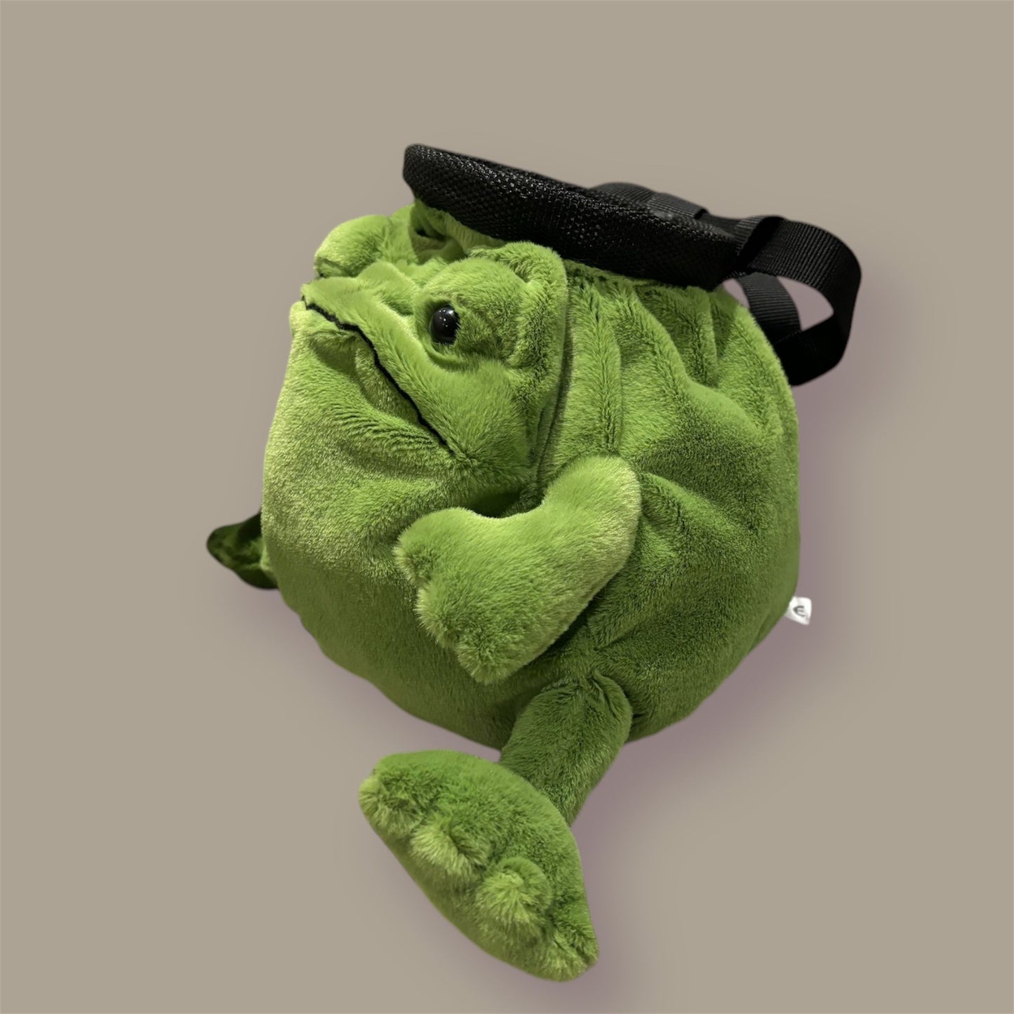Frog Chalk Bag
