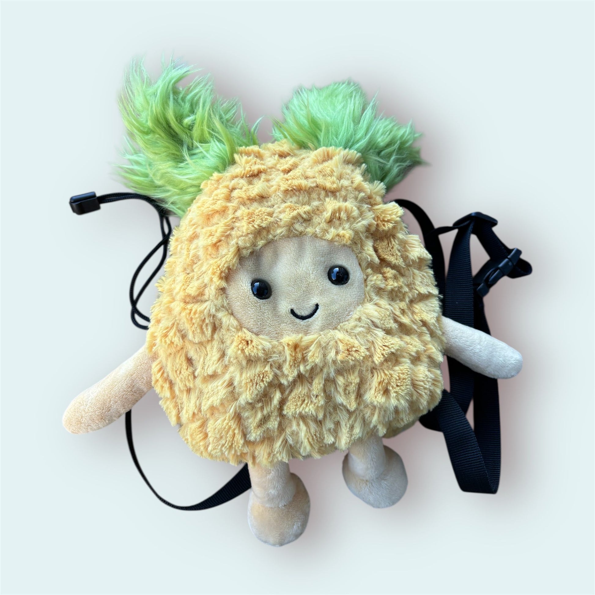 Pineapple Chalk Bag