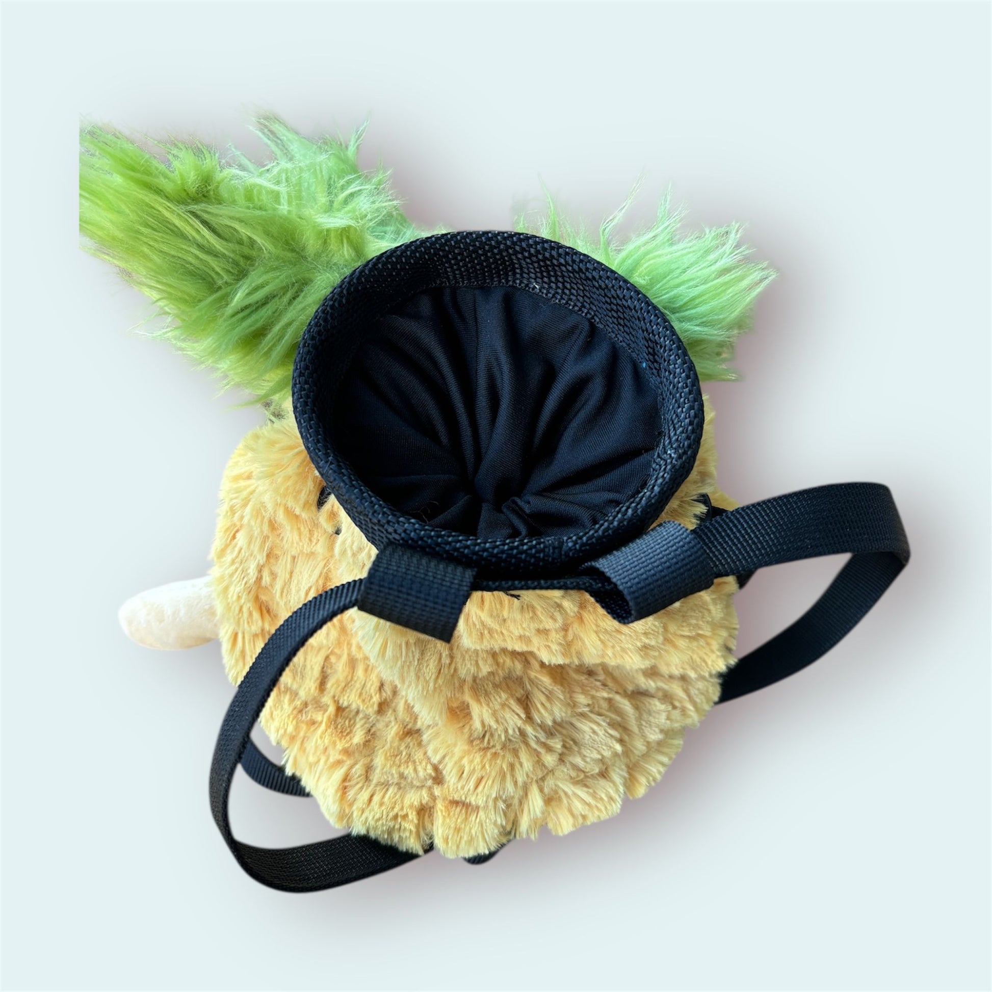 Pineapple Chalk Bag