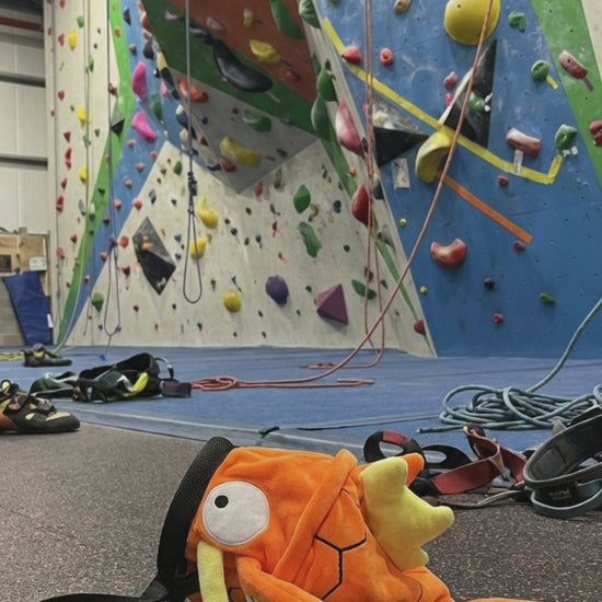 A close-up video highlighting the details of the Magikarp chalk bag