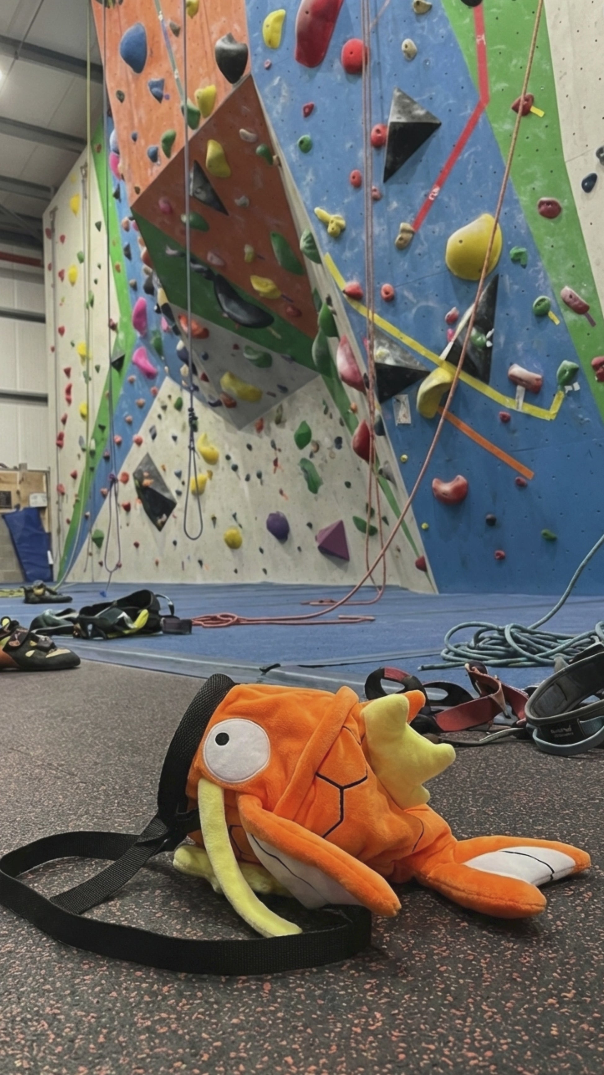 A close-up video highlighting the details of the Magikarp chalk bag