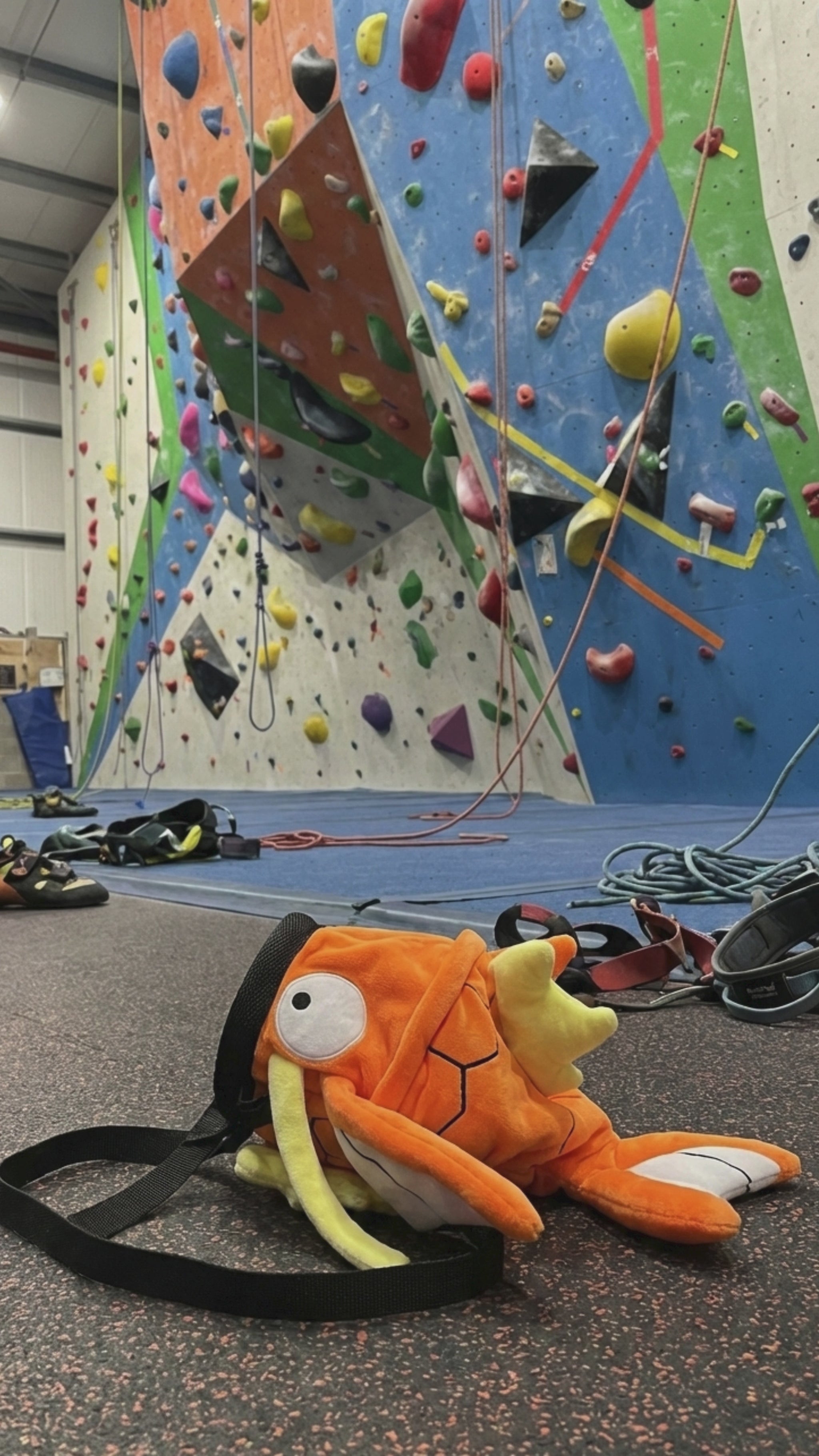 A close-up video highlighting the details of the Magikarp chalk bag