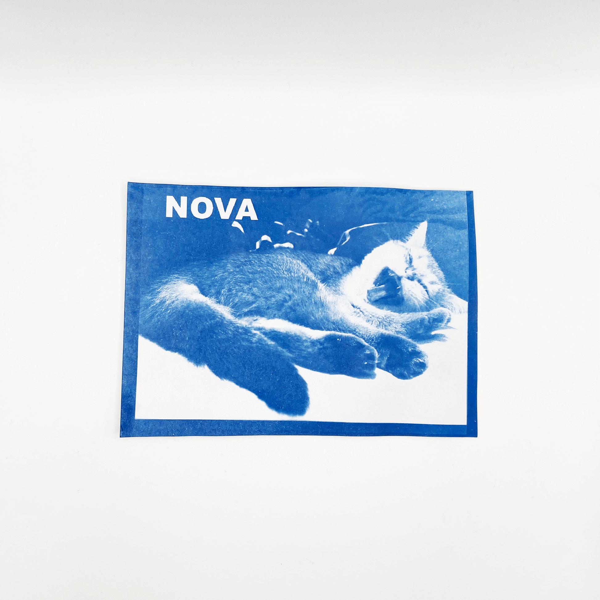 cyanotype