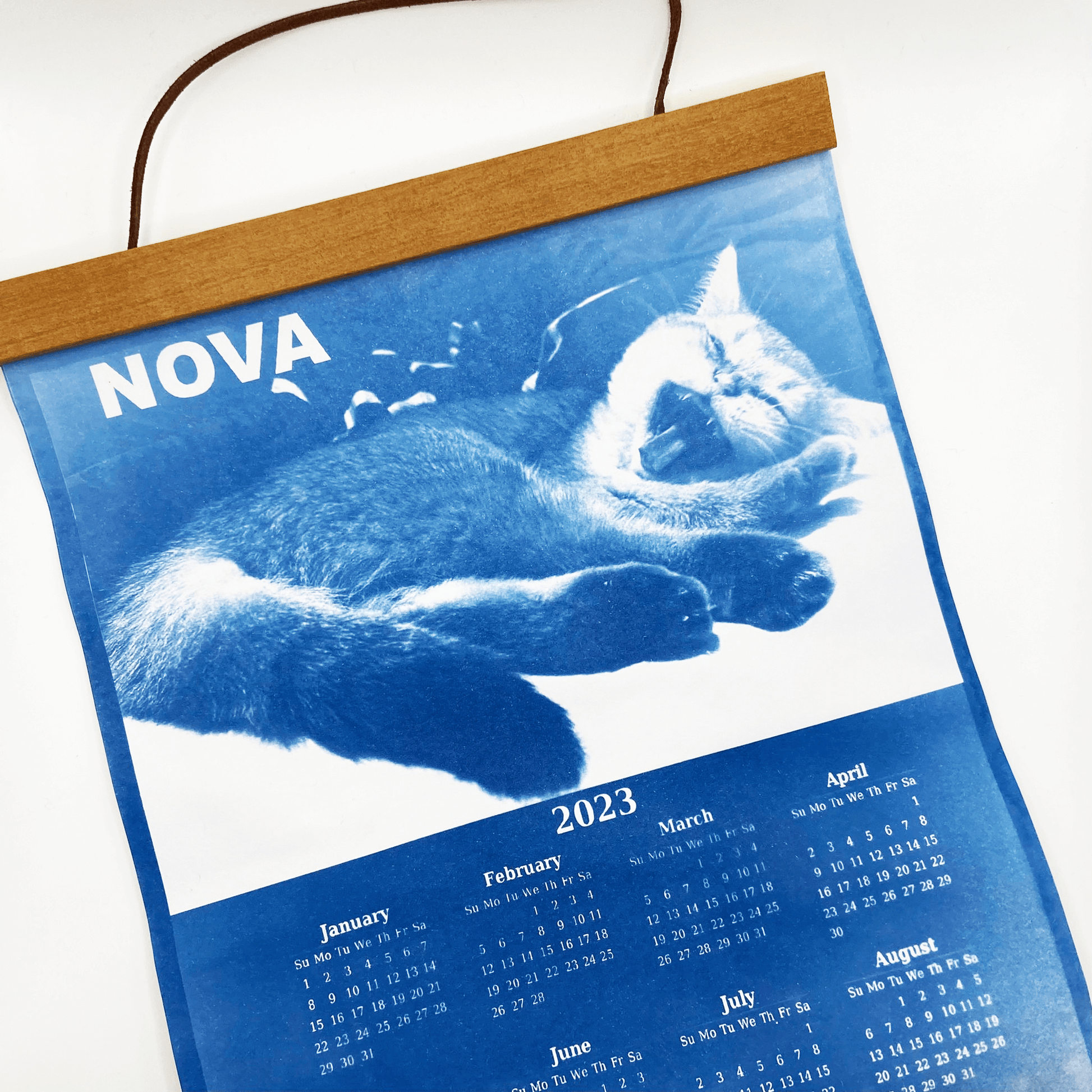 Cyanotype kit Calendar