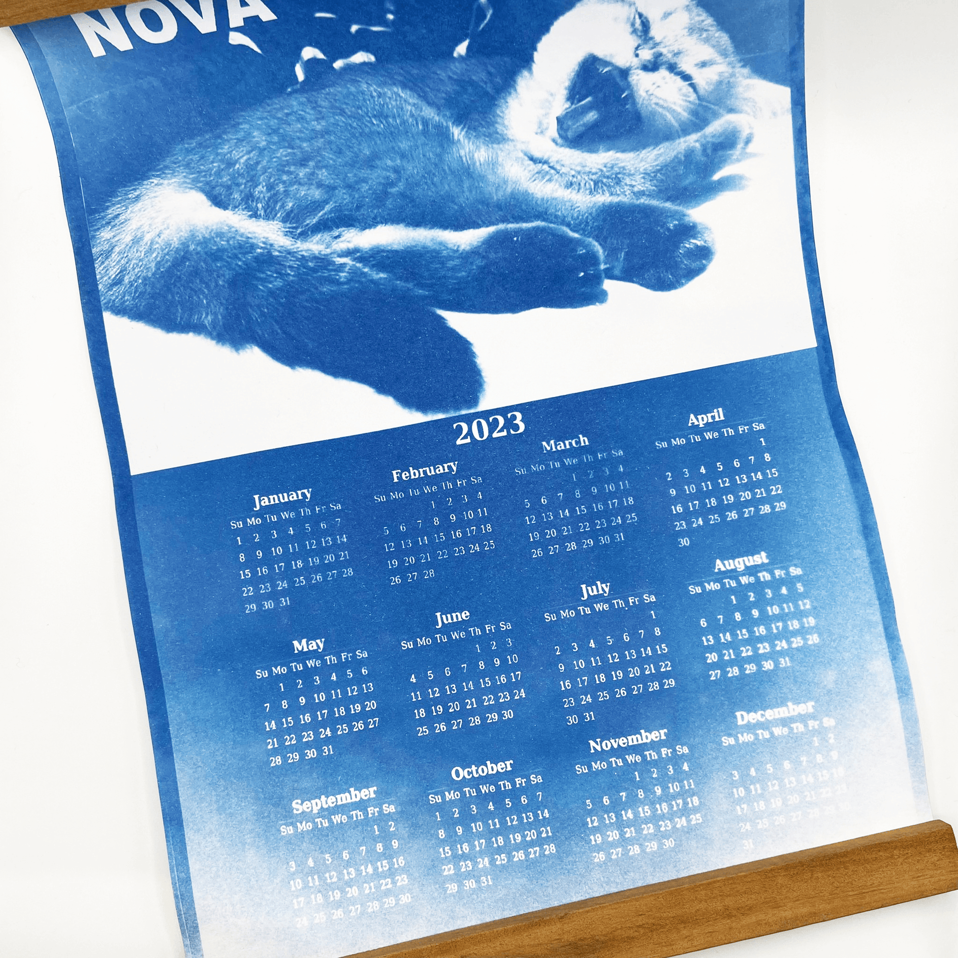 Cyanotype Calendar