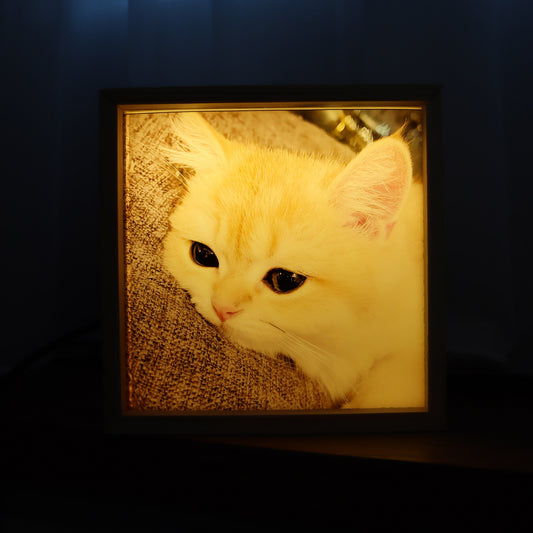 wood photo light box