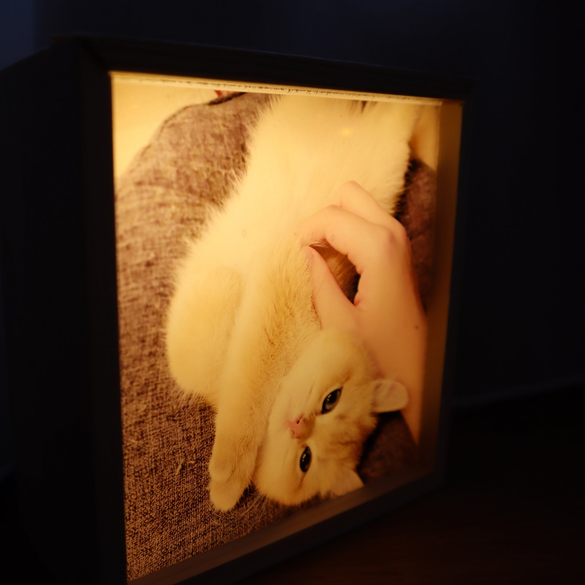 wood photo light box