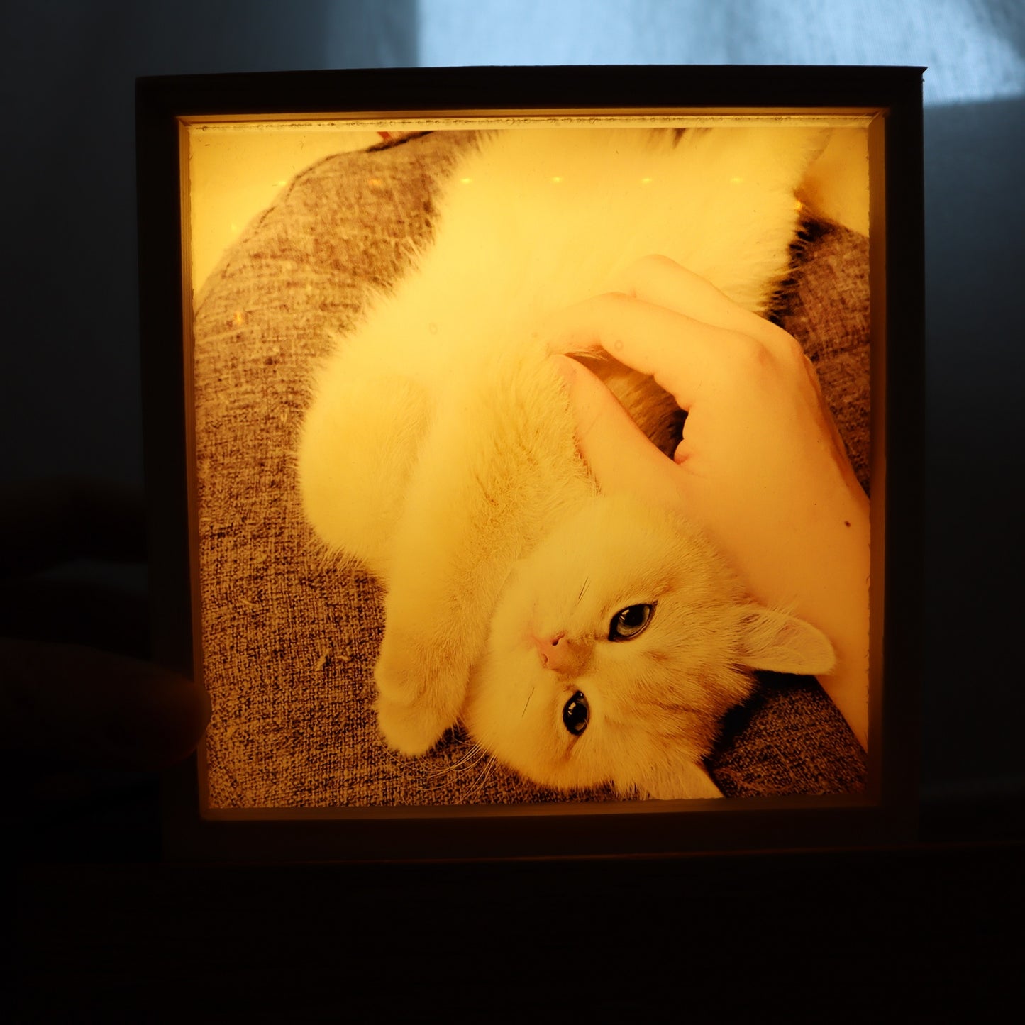 wood photo light box