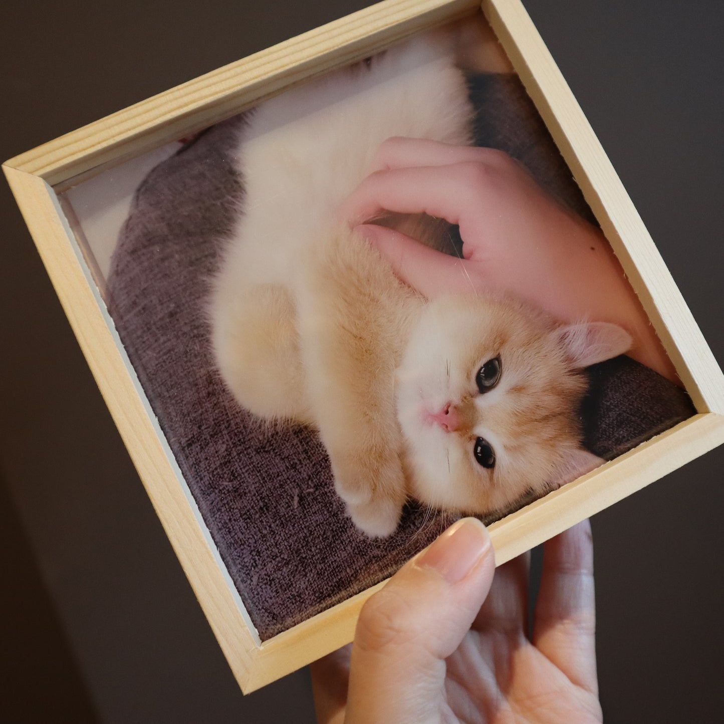 wood photo light box